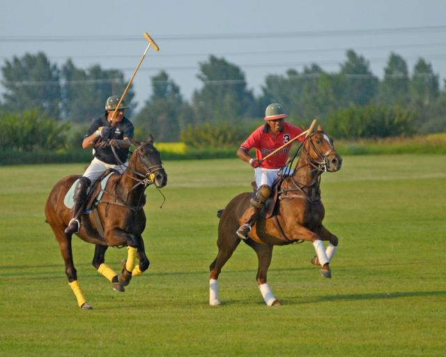 polo2007_jwood16.jpg