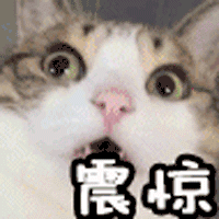 7aec54e736d12f2e724d372244c2d5628535682c.gif
