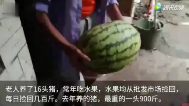 image-12.png