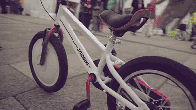 5.gif
