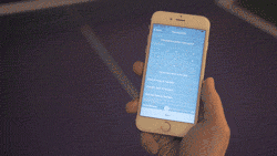 4.gif