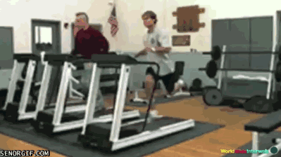 17.gif