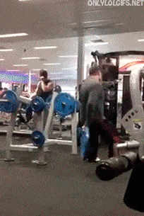13.gif