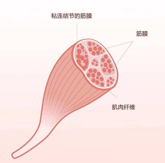 timg_image&quality=80&size=b9999_10000&sec=1590664583571&di=83e0947f4011755920c674205558a192&imgtype=0&src=http%3A%2F%2F5b0988e595225.cdn.sohucs.com%2Fq_70%2Cc_zoom%2Cw_640%2Fimages%2F20191218%2F6d4fc2b33a7446378b6109a9750eb44e.jpg