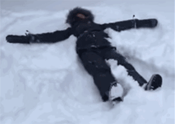 v2-9e3335effb8d0ff30324e5bab1dbde03_b.gif