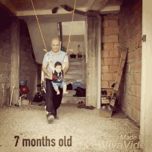 1.gif