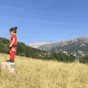 14.gif