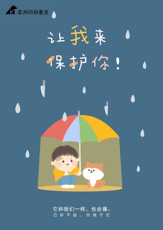 陈旻-保护1.jpg