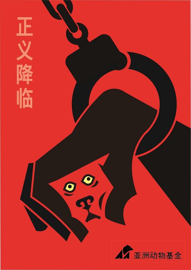 廖珮涵 正义降临.jpg