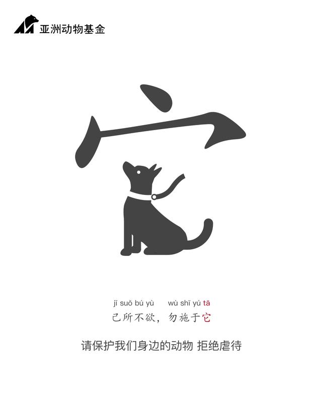 梁玉-己所不欲勿施于它之猫狗2.jpg