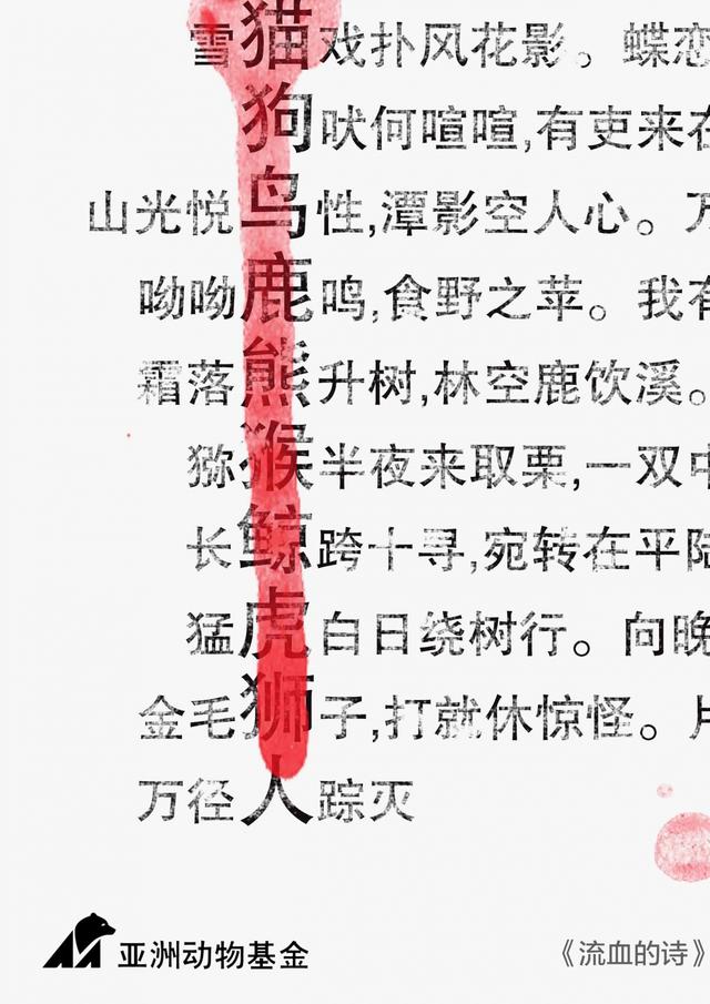 巩蕊-流血的诗.jpg