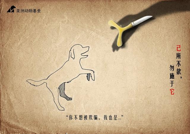 杨心意-我不想要欺骗 之狗.jpg