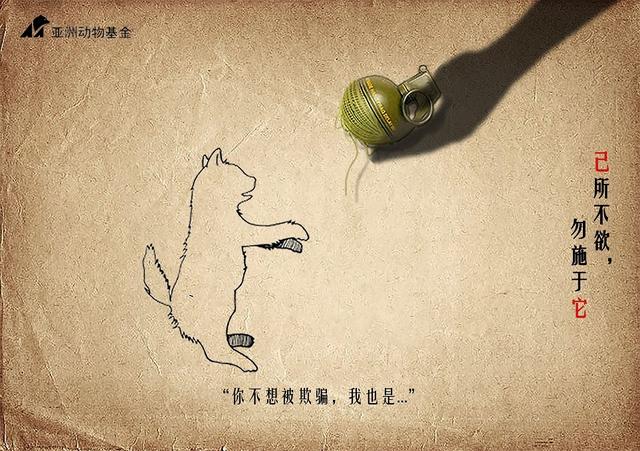杨心意-我不想要欺骗 之猫.jpg