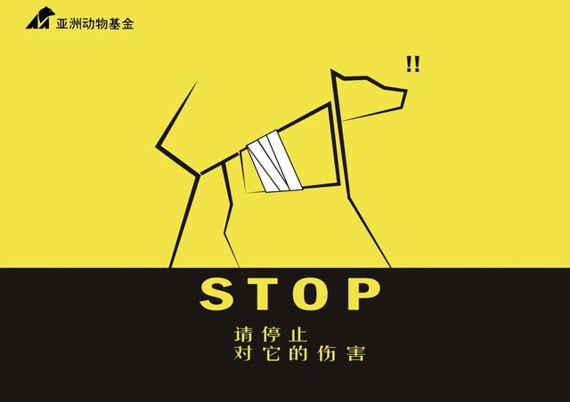 王泊寒-Stop2.jpg