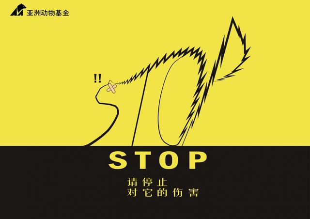 王泊寒-Stop1.jpg