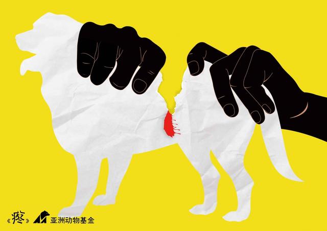 魏杍同——《疼》系列作品-2.jpg