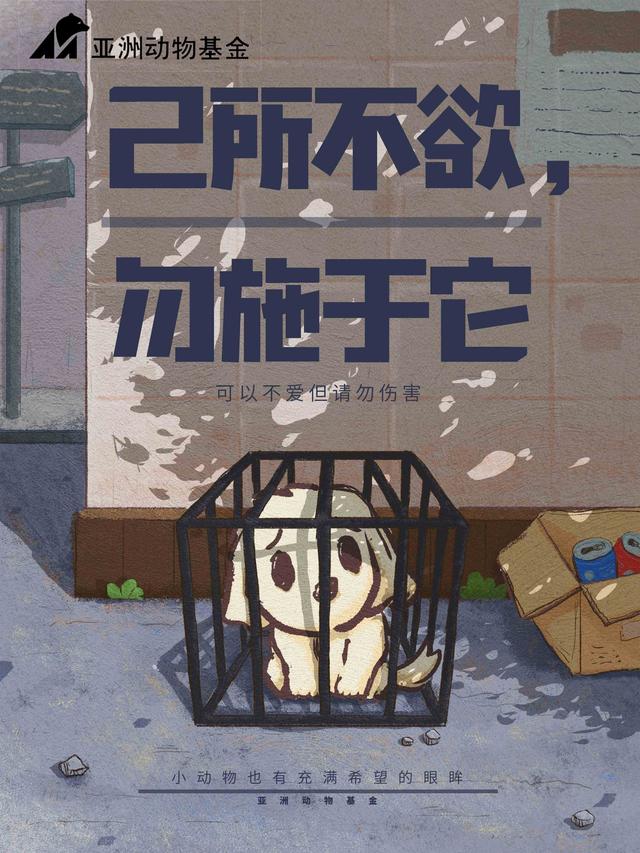 张浩龙_dogdog.jpg