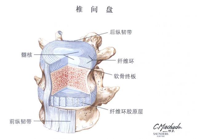 患上腰椎间盘突出，还能不能再骑自行车？专业人士为你解答！