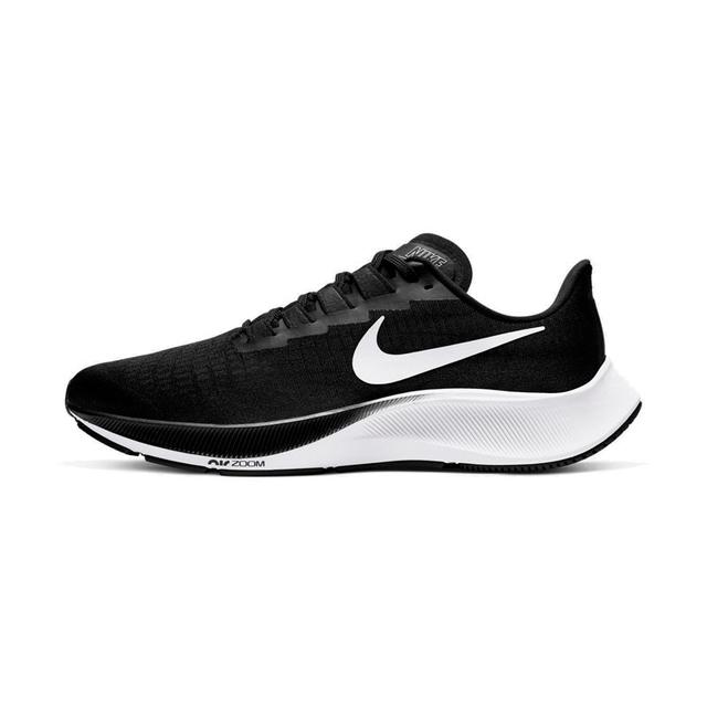 Pegasus37.jpg