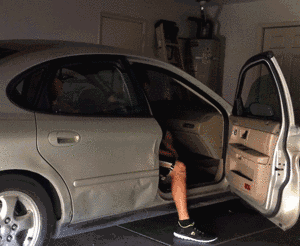 c1cf4add9b414e539bb29e03a6cdcaf6.gif