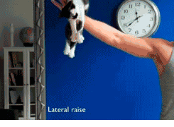 4.gif