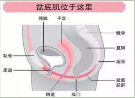 微信图片_20190319154600.png