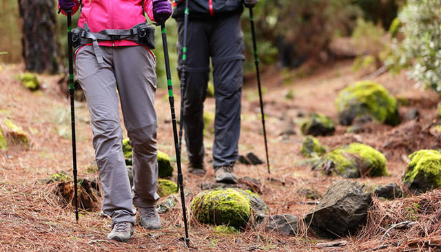 Trekking-Poles.jpg