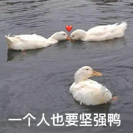 b9e73af3e2444735ba0c720d21f00073.jpeg