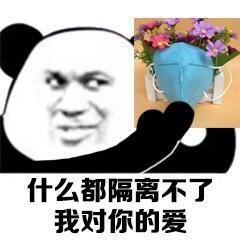 u=262363535,1136476627&fm=11&gp=0.jpg
