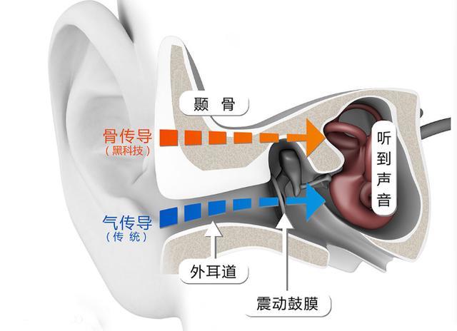 你用什么听音乐？耳朵吗？不，用骨头-韶音AS800尝新