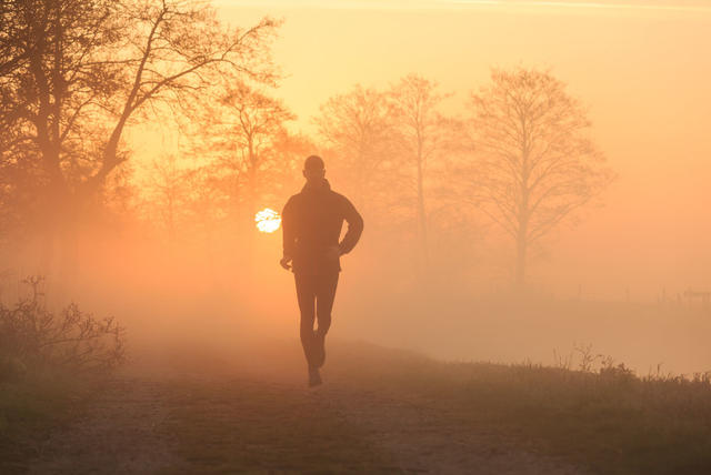 shutterstock_271625675.jpg