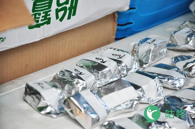 环广西自行车赛最佳车队BMC，赛中为车手提供什么样的食品补给？