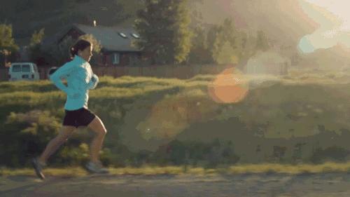010lm336358101620006.gif