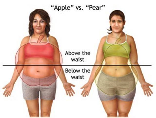过量的脂肪就会堆积到身体的其他部位并导致疾病的发生