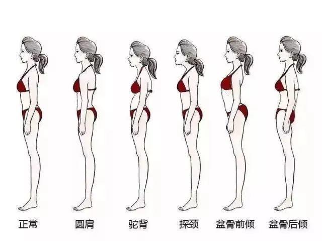 0d48a43d-e6e9-11e7-badd-01600dff43a8.jpg