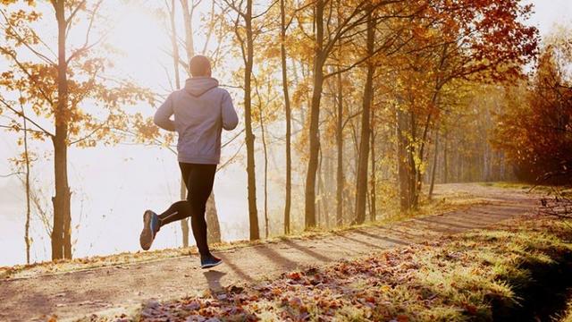 autumn-run-768x432.jpg