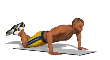 timg.gif