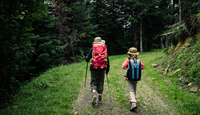 hiking-with-kids-690x398.png