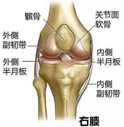微信图片_20181102103723.jpg