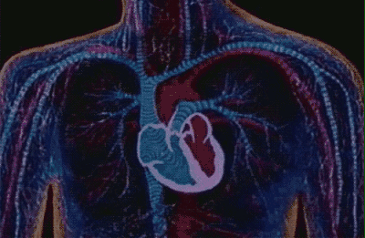 6b77-ivrxcex1799921.gif