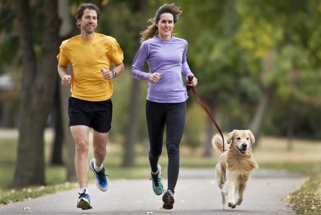 iStock_000021896598_Medium-RESIZED-Runners-plus-dog.jpg