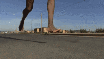 timg.gif
